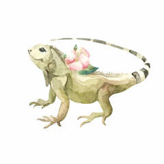 watercolor chameleon animal baby illustration isolated on white