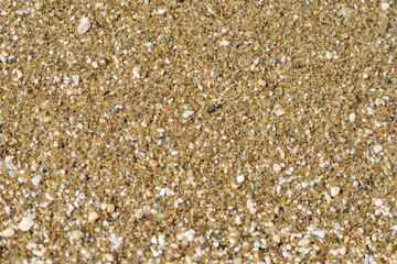 Diamond Head Beach Park, Honolulu, Oahu, Hawaii. olivine sand. Shells and Coral Sand. Bioerosion
