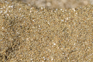 Diamond Head Beach Park, Honolulu, Oahu, Hawaii. olivine sand. Shells and Coral Sand. Bioerosion
