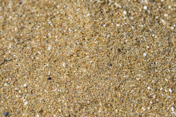 Diamond Head Beach Park, Honolulu, Oahu, Hawaii. olivine sand. Shells and Coral Sand. Bioerosion
