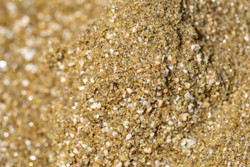 Diamond Head Beach Park, Honolulu, Oahu, Hawaii. olivine sand. Shells and Coral Sand. Bioerosion

