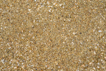Diamond Head Beach Park, Honolulu, Oahu, Hawaii. olivine sand. Shells and Coral Sand. Bioerosion
