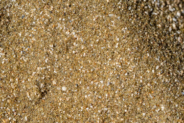 Diamond Head Beach Park, Honolulu, Oahu, Hawaii. olivine sand. Shells and Coral Sand. Bioerosion
