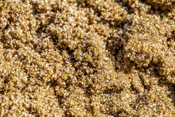 Diamond Head Beach Park, Honolulu, Oahu, Hawaii. olivine sand. Shells and Coral Sand. Bioerosion
