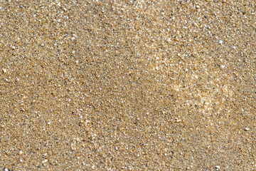 Diamond Head Beach Park, Honolulu, Oahu, Hawaii. olivine sand. Shells and Coral Sand. Bioerosion
