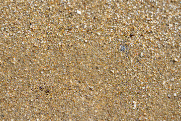Diamond Head Beach Park, Honolulu, Oahu, Hawaii. olivine sand. Shells and Coral Sand. Bioerosion
