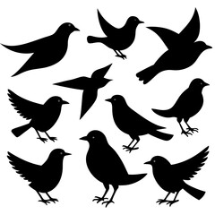 set of birds silhouettes