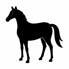 horse vector illustration