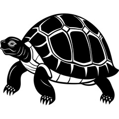 turtle vector illustration