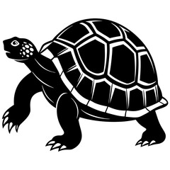 turtle vector illustration