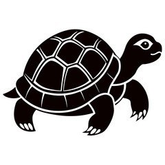 turtle vector illustration