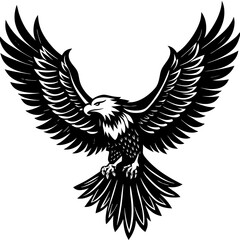 Obraz premium eagle with wings