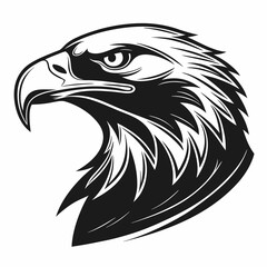 eagle head vector illustration