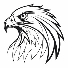 eagle head vector illustration
