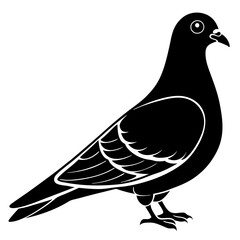 vector illustration of dove