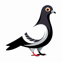 vector illustration of a pigeon