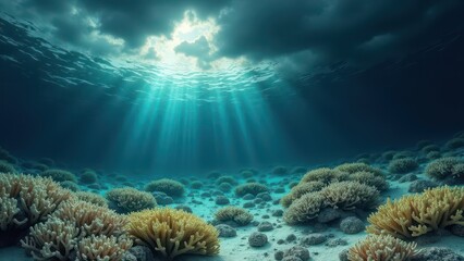Naklejka premium Underwater scene of bleached coral reef with sunlight filtering through water 