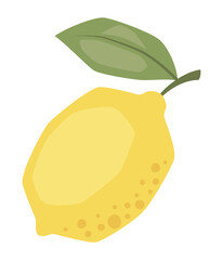 Vector isolated whole lemon illustration