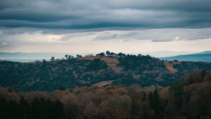 Hilltop landscape with dense green trees under a dramatic overcast sky, featuring rolling hills and a muted color palette of greens and grays.