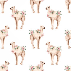 watercolor camel animal baby illustration seamless pattern isolated on white