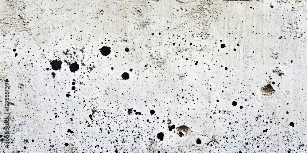 Poster Gray concrete backdrop with black specks scattered across the surface featuring ample copy space ideal for design projects and advertisements.