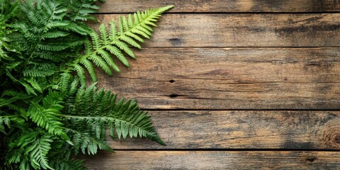 Naklejka premium Lush green ferns arranged on weathered brown wooden planks with a rustic texture showcasing natural beauty and designated copy space on the right