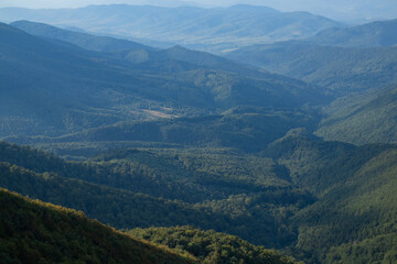 Fototapeta premium Carpathian Mountains and tree background. Mountains landscape. Alpine meadows and beautiful mountains. Forest background. Mountain landscape background. Touristic View of mountain. Nature background.