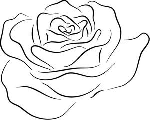 rose floral line art decoration 
