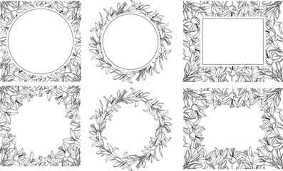 Vector set of frame and wreath with outline lilies. Botanical illustration of flowers.