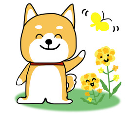 菜の花の横で手を振るしばいぬ