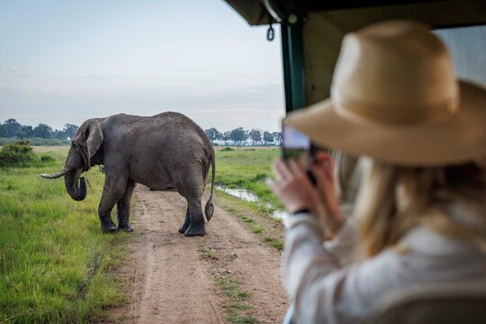 A female tourist watches a large elephant in Kenya's Masai Mara.