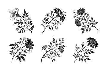 Milkweed (Asclepias spp.) silhouette vector illustration