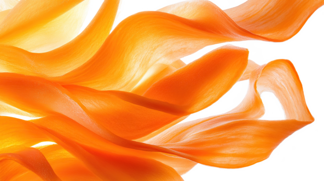 Beautiful close-up of orange wavy carrot slices on transparent background