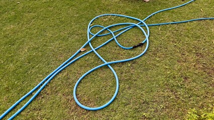 Garden Hose on Green Lawn: A blue garden hose lies in a tangled configuration on a vibrant green lawn, suggesting the potential for watering and outdoor activity.