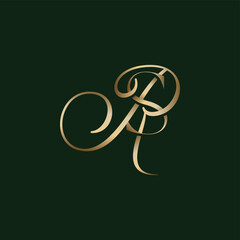 Letter R and S in Decorative Font