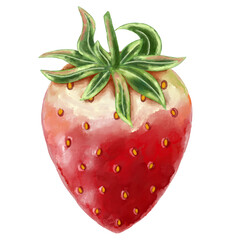 Watercolor strawberry clipart on transparent background
