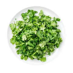 Fresh Chopped Cilantro on Plate isolated on transparent background