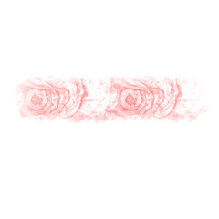 pink roses border