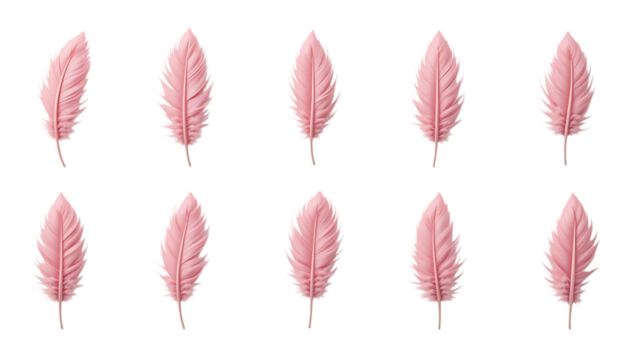 Set of 9 delicate pink feathers Isolated on png
