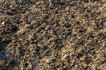 Closeup ready for planting fertile soil in organic agricultural farm on sunny day