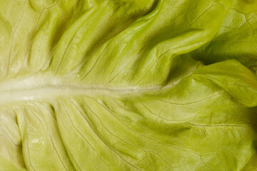 A close-up shot of a vibrant green butter lettuce leaf, highlighting its delicate texture and...