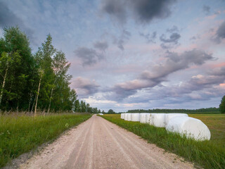 A road with a field with white hay bales on one side and forest on other in the background. The sky is cloudy and the sun is setting. Calm relaxing nature scene in Latvia. Agriculture and farmland.