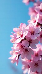 Obraz premium Close-up of pink cherry blossoms against a clear blue sky, flowers, nature