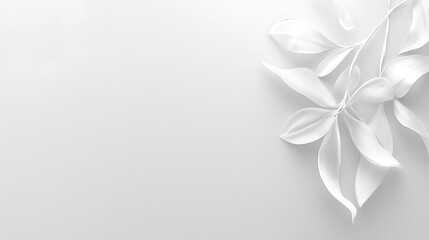White leaves, minimalist backdrop