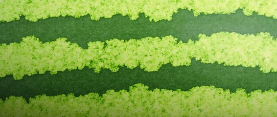 Striped crust of watermelon, background texture.