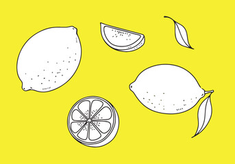 シンプルな手描きのレモンの線画