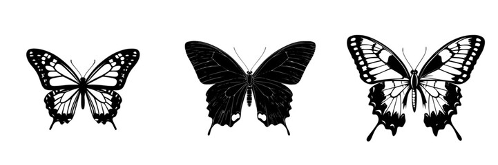 Beautiful collection of various butterfly silhouettes showcasing intricate designs and nature's art