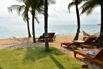 Relaxing on the beach in the north of Phu Quoc. Vietnam. February, 2025. Beach with palm trees. 