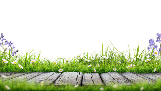 A wooden product display top with an Easter scene of painted eggs and green meadow grass against a transparent background.