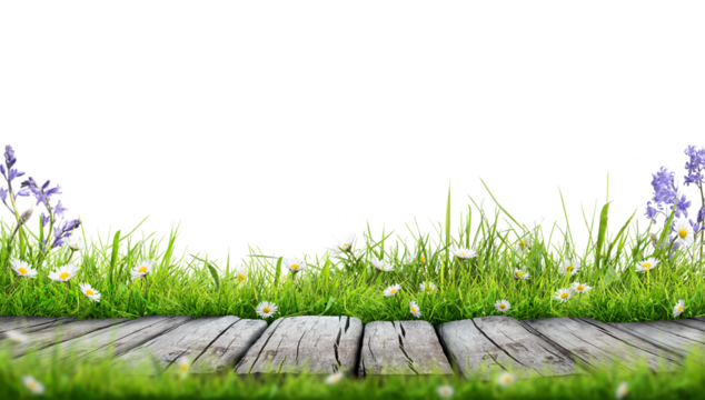A wooden product display top with an Easter scene of painted eggs and green meadow grass against a transparent background.
